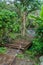 Suspension bridge over Caldera river near Boquete Panama , on Lost Waterfalls hiking trai