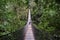 Suspension bridge over the canyon in rain forest.