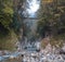 Suspension bridge over Yew boxwood grove, gorge of devil gate, in the city of Sochi, Krasnodar region. White rocks and the hosta