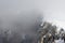 The Suspension bridge Ramsau am Dachstein, Dachstein glacier, Austria, Europe.