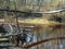 suspension bridge spring landscape of a small creek in the park