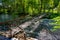 Suspension footbridge spans the river with waterfall.