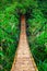 Suspension pedestrian bridge made from natural bamboo