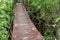 Suspension wood bridge walkway in the forest