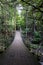 Suspension Wood Footbridge in Forest