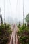 Suspension wooden bamboo bridge in forest for people crossing small stream