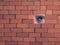 Suspicious person looking through the hole in the red brick wall