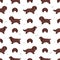 Sussex Spaniel coat colors, different poses clipart