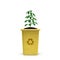 sustainability concept. Growing plant in yellow trash can on white background.