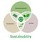 sustainability factor social environmental economic elements of sustainable solution