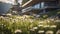 Sustainable Architecture: Grassy Field With Whistlerian House And Daisies
