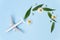 Sustainable Aviation Fuel. White airplane model, fresh green leaves on blue background