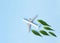 Sustainable Aviation Fuel. White airplane model, fresh green leaves on blue background