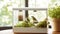 Sustainable Bird Oasis feeder