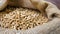 Sustainable Bounty: Wood Pellets in a Gunnysack