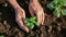 Sustainable Cultivation: Close View of Hands Planting in Earth for Eco-Friendly Growth