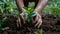 Sustainable Cultivation: Close View of Hands Planting in Earth for Eco-Friendly Growth