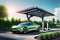 A Sustainable Future with Electric Vehicles