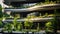 Sustainable green building. Eco-friendly building. Sustainable glass office building with garden on balconies. Office with green