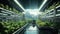 Sustainable Harvest, Discovering the Next Era of Farming in a Futuristic Greenhouse Environment