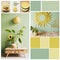 Sustainable Living: Eco-Friendly Moodboard