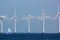 Sustainable Offshore Windfarm with Sailboat