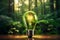 Sustainable Radiance Eco friendly lightbulb embodies energy efficiency, renewable and sustainable concepts