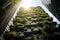 A sustainable skyscraper covered in vertical gardens modern futurism background