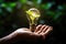 Sustainable tomorrow: a hand holds a light bulb of ecological progress with a plant inside