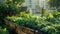 Sustainable Urban Rooftop Garden: Rainwater Harvesting & Organic Planting for Greener Living