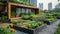 Sustainable Urban Rooftop Garden: Rainwater Harvesting & Organic Planting for Greener Living