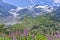 Susten Pass, Natural landscape in Alps, Switzerland, Europe