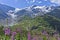 Susten Pass, Natural landscape in Alps, Switzerland, Europe