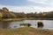 Sutton Park, West Midlands, England - Beautiful view over the park