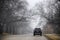 SUV driving over a hill on city street under spooky bare overhanging branches during a heavy fog - dead end sign