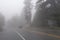 SUV traveling on Foggy Mountain Road