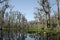 Suwannee River red trail, Okefenokee Swamp National Wildlife Refuge