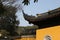 Suzhou gardens, Chinese architecture, temples, mountains, flowers, plum, plum, blossom