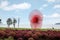 Suzhou Jinji Lake City Sculpture --- Windmill