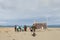 Svalbard, Norway, August 3, 2017: Group of tourists and photographers standing at the beach at Prins Karls Forland at