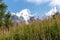 Svaneti - Bushes of Rosebay Willowherb blooming in Greater Caucasus Mountain Range in Georgia. Snow-capped peaks