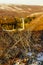 Svartifoss Water in Early Winter