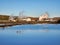 Svartsengi Geothermal Power Plant near Grindavik, Iceland on clear sunny day.