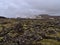 Svartsengi geothermal power station near Grindavik, Reykjanes, Iceland with moss covered lava field and rocky fissures in front.