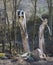 Svaty Jan pod Skalou, Czech Republic, March 23, 2019: View of wooden statue fairy tail figure of nymf fairy and wizard