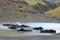 Svinafellsjokull Glacier in Skaftafell Natural Park