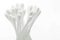 swabs cotton buds isolated on isolated white background