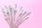 Swabs cotton buds isolated on pink background