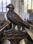 SWAFFHAM, UNITED KINGDOM - Aug 06, 2019: A beautiful and intricate bird carving