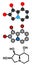 Swainsonine locoweed toxin molecule. Present in Astragalus, Oxytropis and Swainsona plant species